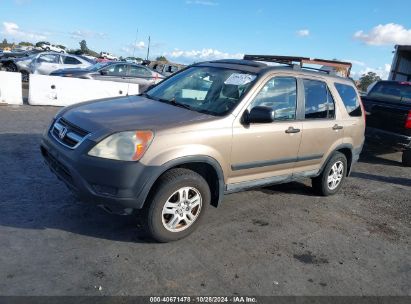 2003 HONDA CR-V EX Beige  Gasoline SHSRD78893U127651 photo #3