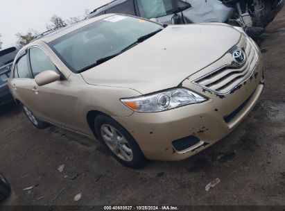 2010 TOYOTA CAMRY LE Gold  Gasoline 4T4BF3EK5AR081284 photo #1