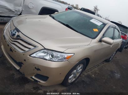 2010 TOYOTA CAMRY LE Gold  Gasoline 4T4BF3EK5AR081284 photo #3