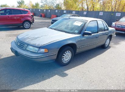 1993 CHEVROLET LUMINA Gray  Gasoline 2G1WL54T9P9254222 photo #3