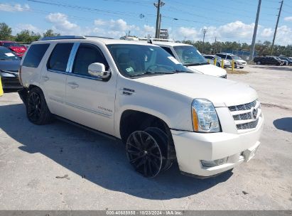 2013 CADILLAC ESCALADE PREMIUM Cream  Flexible Fuel 1GYS4CEF4DR104658 photo #1