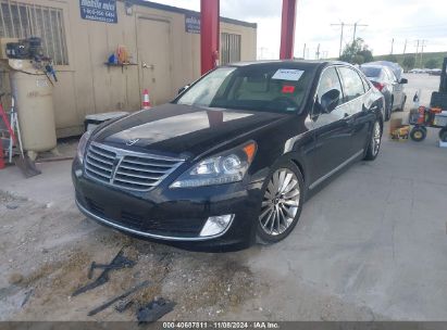 2014 HYUNDAI EQUUS ULTIMATE Black  Gasoline KMHGH4JH1EU074672 photo #3