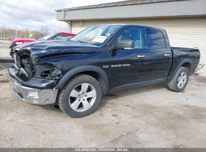 2011 RAM RAM 1500 SLT Black  Gasoline 1D7RV1CTXBS642906 photo #3