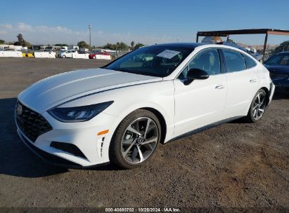 2023 HYUNDAI SONATA SEL PLUS White  Gasoline KMHL44J29PA251253 photo #3