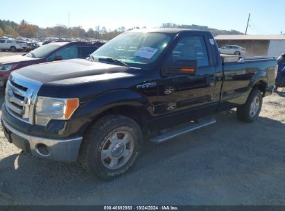 2010 FORD F-150 XL/XLT Black  Flexible Fuel 1FTNF1EV2AKC18784 photo #3