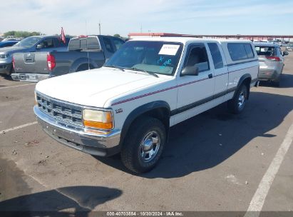 1995 DODGE DAKOTA White  Gasoline 1B7GG23Y3SS121460 photo #3