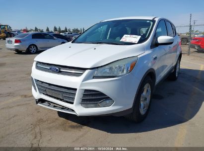 2015 FORD ESCAPE SE White  Gasoline 1FMCU9G9XFUB07645 photo #3