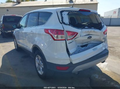 2015 FORD ESCAPE SE White  Gasoline 1FMCU9G9XFUB07645 photo #4