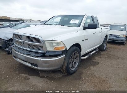 2009 DODGE RAM 1500 SLT/SPORT/TRX White  Gasoline 1D3HB18T69S812221 photo #3