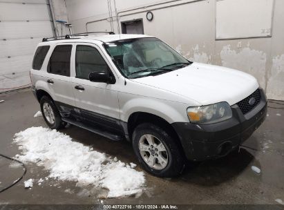 2005 FORD ESCAPE XLT White  Gasoline 1FMYU03165KB05399 photo #1