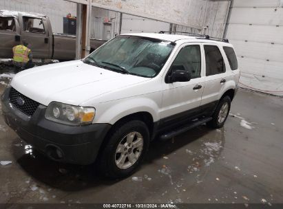 2005 FORD ESCAPE XLT White  Gasoline 1FMYU03165KB05399 photo #3