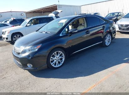 2010 LEXUS HS 250H PREMIUM Black  Hybrid JTHBB1BA5A2010932 photo #3