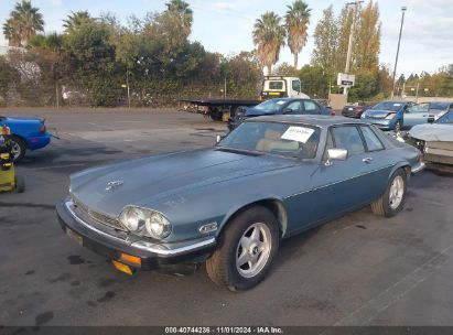 1982 JAGUAR XJS Blue  Gasoline SAJNV5848CC106275 photo #3