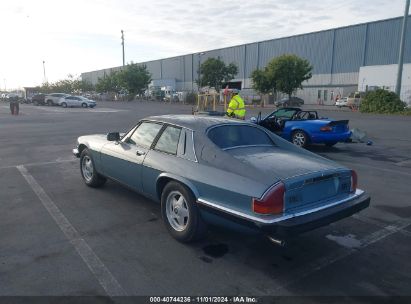 1982 JAGUAR XJS Blue  Gasoline SAJNV5848CC106275 photo #4