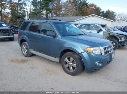 2010 FORD ESCAPE XLT Light Blue  Flexible Fuel 1FMCU0DG7AKC50636 photo #1