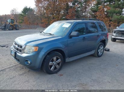 2010 FORD ESCAPE XLT Light Blue  Flexible Fuel 1FMCU0DG7AKC50636 photo #3