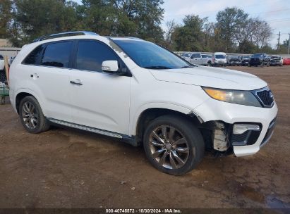 2013 KIA SORENTO SX White  Gasoline 5XYKW4A20DG379791 photo #1