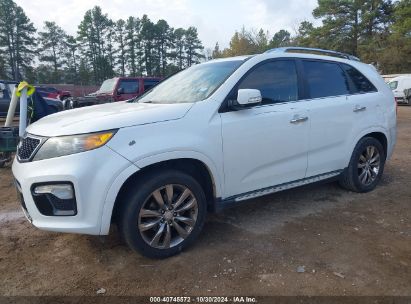 2013 KIA SORENTO SX White  Gasoline 5XYKW4A20DG379791 photo #3