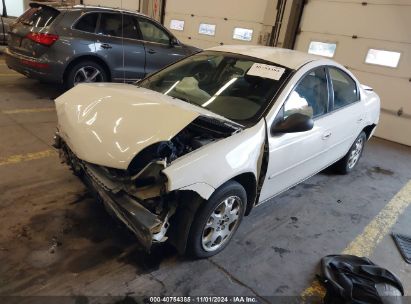 2005 DODGE NEON SXT White  Gasoline 1B3ES56C65D267546 photo #3