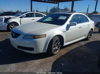 2005 ACURA TL White  Gasoline 19UUA65615A078241 photo #3