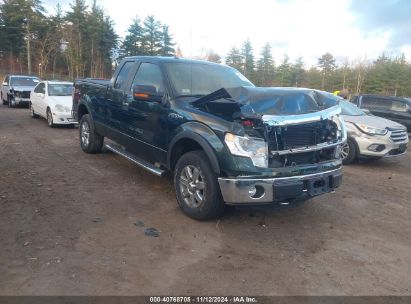 2014 FORD F-150 XLT Black  Flexible Fuel 1FTFX1EF2EFA57605 photo #1