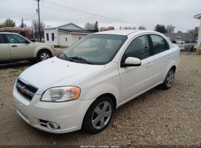 2010 CHEVROLET AVEO LT   gas KL1TG5DE1AB108264 photo #3