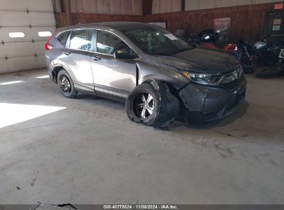 2019 HONDA CR-V LX Gray  Gasoline 2HKRW6H37KH221334 photo #1