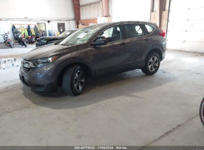 2019 HONDA CR-V LX Gray  Gasoline 2HKRW6H37KH221334 photo #3