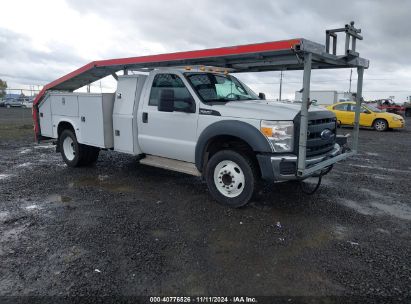 2013 FORD F-550 CHASSIS XL White  Gasoline 1FDUF5GY1DEA13966 photo #1