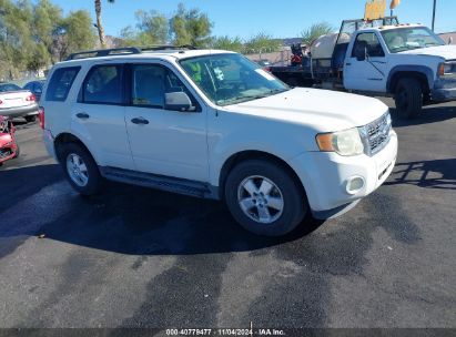 2009 FORD ESCAPE XLT White  Gasoline 1FMCU03G09KD14447 photo #1