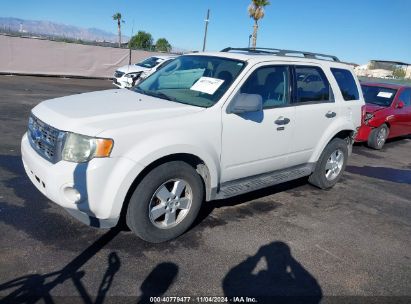 2009 FORD ESCAPE XLT White  Gasoline 1FMCU03G09KD14447 photo #3