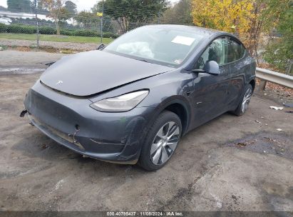 2023 TESLA MODEL Y Gray  Electric 7SAYGDEE5PF675299 photo #3