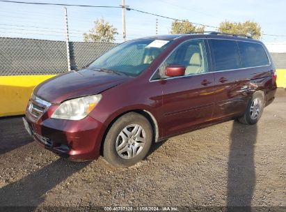 2007 HONDA ODYSSEY EX-L Burgundy  Gasoline 5FNRL38637B441237 photo #3