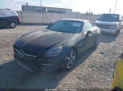 2014 MERCEDES-BENZ SLK 55 AMG Black  Gasoline WDDPK7FA2EF092501 photo #3