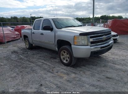 2010 CHEVROLET SILVERADO 1500 LT Silver  Flexible Fuel 3GCRCSEA2AG130001 photo #1