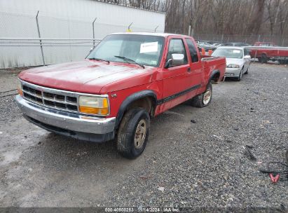 1996 DODGE DAKOTA Red  Gasoline 1B7GG23X4TS685496 photo #3