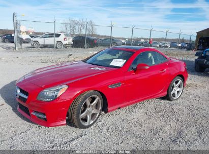 2016 MERCEDES-BENZ SLK 300 Red  Gasoline WDDPK3JA3GF123564 photo #3