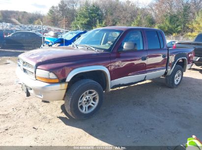 2003 DODGE DAKOTA SLT Purple  Gasoline 1D7HG48N33S198965 photo #3