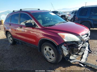 2011 HONDA CR-V LX Red  Gasoline 5J6RE4H37BL121750 photo #1