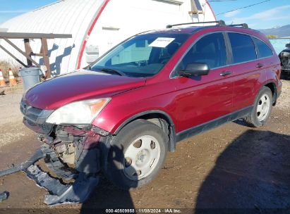 2011 HONDA CR-V LX Red  Gasoline 5J6RE4H37BL121750 photo #3