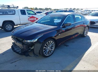 2020 CADILLAC CT5 PREMIUM LUXURY Red  Gasoline 1G6DN5RK7L0118736 photo #3