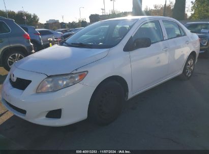 2010 TOYOTA COROLLA LE White  Gasoline JTDBU4EE1AJ068702 photo #3