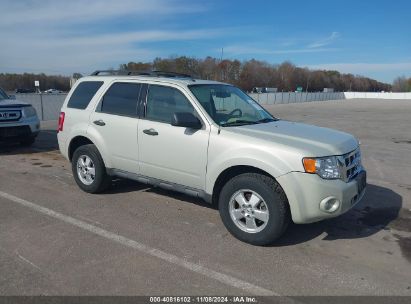 2009 FORD ESCAPE XLT White  Gasoline 1FMCU03779KB94906 photo #1