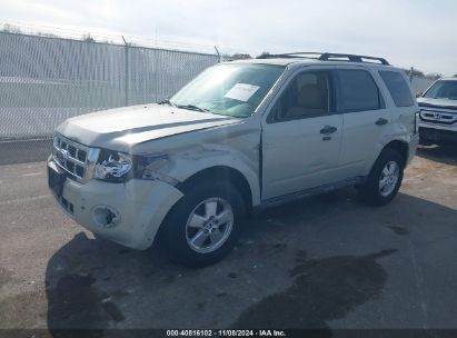 2009 FORD ESCAPE XLT White  Gasoline 1FMCU03779KB94906 photo #3