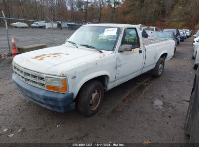 1996 DODGE DAKOTA Gray  Gasoline 1B7HL26X5TS574578 photo #3