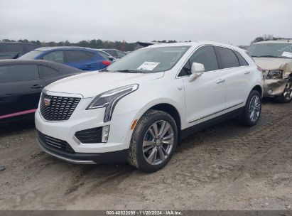 2024 CADILLAC XT5 FWD PREMIUM LUXURY White  Gasoline 1GYKNCR42RZ721943 photo #3