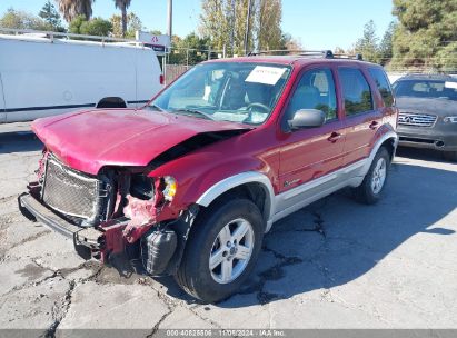 2006 FORD ESCAPE HYBRID Red  Hybrid 1FMCU96H86KA30634 photo #3