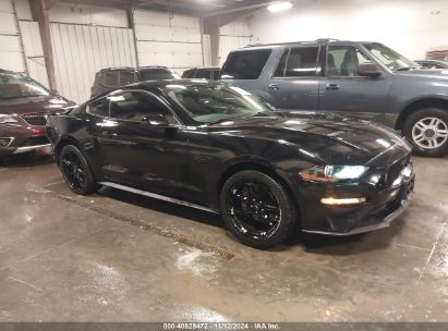 2019 FORD MUSTANG GT Black  Gasoline 1FA6P8CF4K5202338 photo #1