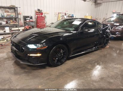 2019 FORD MUSTANG GT Black  Gasoline 1FA6P8CF4K5202338 photo #3