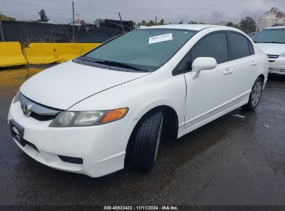 2008 HONDA CIVIC LX White  Gasoline 2HGFA16568H509969 photo #3